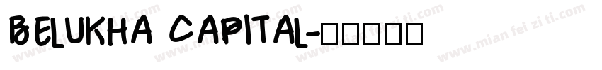 Belukha Capital字体转换